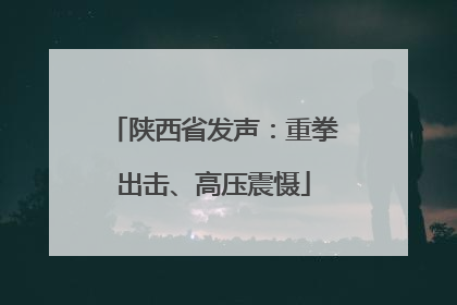 陕西省发声：重拳出击、高压震慑
