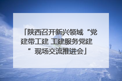 陕西召开新兴领域“党建带工建 工建服务党建”现场交流推进会