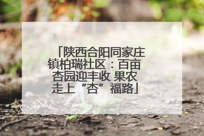 陕西合阳同家庄镇柏瑞社区：百亩杏园迎丰收 果农走上“杏”福路