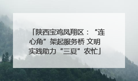 陕西宝鸡凤翔区：“连心角”架起服务桥 文明实践助力“三夏”农忙