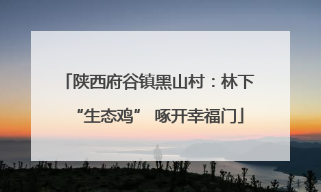 陕西府谷镇黑山村：林下“生态鸡” 啄开幸福门