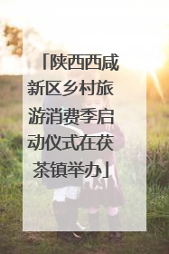 陕西西咸新区乡村旅游消费季启动仪式在茯茶镇举办