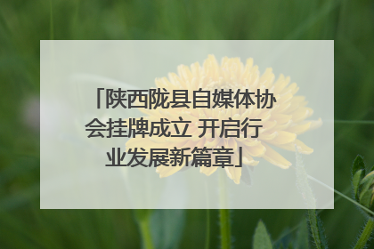 陕西陇县自媒体协会挂牌成立 开启行业发展新篇章