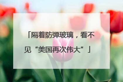 隔着防弹玻璃，看不见“美国再次伟大”