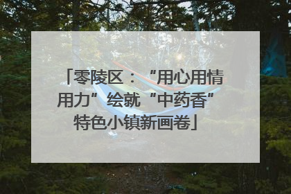 零陵区:“用心用情用力”绘就“中药香”特色小镇新画卷
