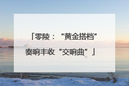 零陵：“黄金搭档”奏响丰收“交响曲”