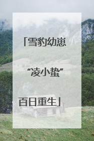雪豹幼崽“凌小蛰”百日重生