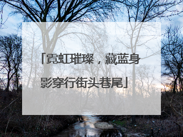 霓虹璀璨，藏蓝身影穿行街头巷尾