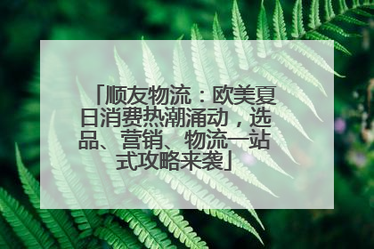 顺友物流：欧美夏日消费热潮涌动，选品、营销、物流一站式攻略来袭