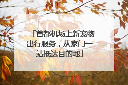 首都机场上新宠物出行服务，从家门一站抵达目的地