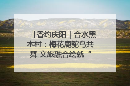 香约庆阳｜合水黑木村：梅花鹿鸵鸟共舞 文旅融合绘就“诗与远方”