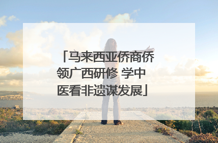 马来西亚侨商侨领广西研修 学中医看非遗谋发展