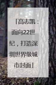 高志凯：面向22世纪，打造深圳世界级城市封面