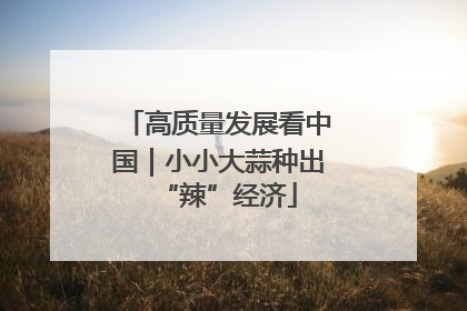 高质量发展看中国｜小小大蒜种出“辣”经济
