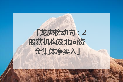 龙虎榜动向：2股获机构及北向资金集体净买入