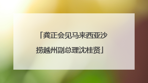 龚正会见马来西亚沙捞越州副总理沈桂贤