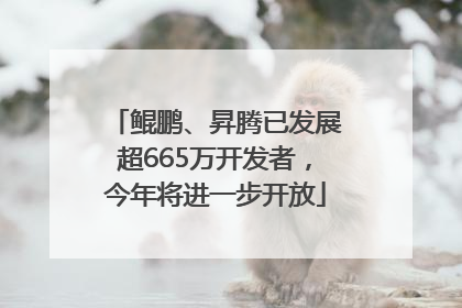 鲲鹏、昇腾已发展超665万开发者，今年将进一步开放