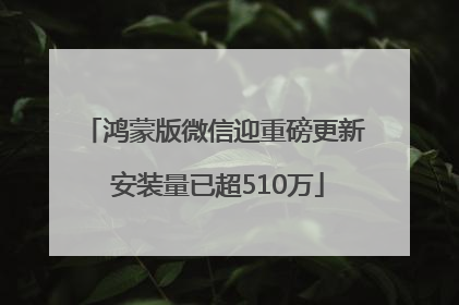 鸿蒙版微信迎重磅更新 安装量已超510万