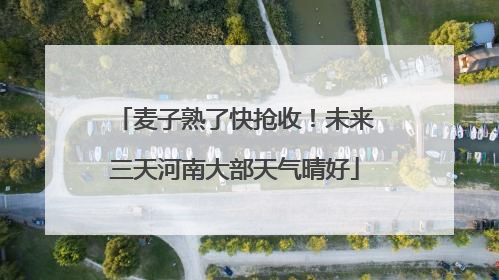 麦子熟了快抢收！未来三天河南大部天气晴好