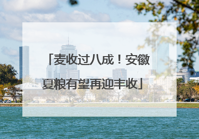 麦收过八成！安徽夏粮有望再迎丰收