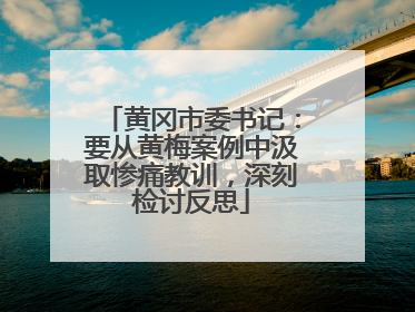 黄冈市委书记：要从黄梅案例中汲取惨痛教训，深刻检讨反思