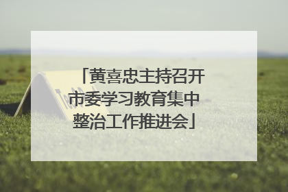 黄喜忠主持召开市委学习教育集中整治工作推进会