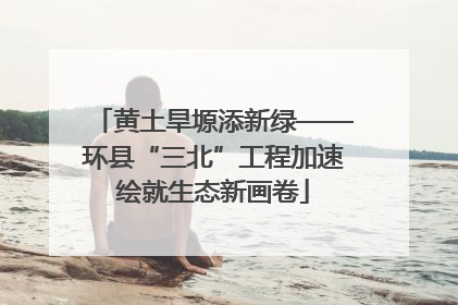黄土旱塬添新绿——环县“三北”工程加速绘就生态新画卷