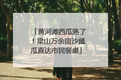 黄河滩西瓜熟了！梁山万余亩沙瓤瓜直达市民餐桌