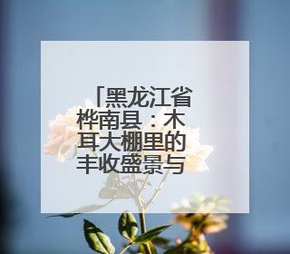 黑龙江省桦南县：木耳大棚里的丰收盛景与共富之路