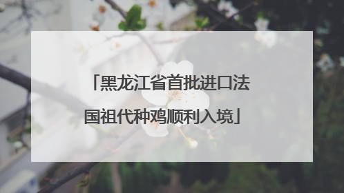 黑龙江省首批进口法国祖代种鸡顺利入境