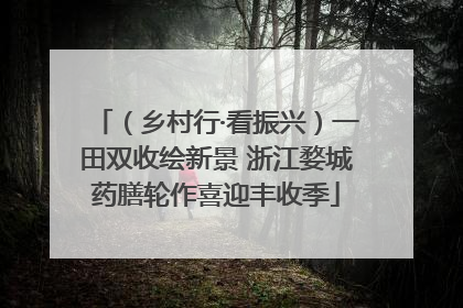 （乡村行·看振兴）一田双收绘新景 浙江婺城药膳轮作喜迎丰收季