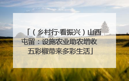 （乡村行·看振兴）山西屯留：设施农业助农增收 五彩椒带来多彩生活