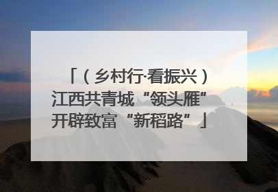 （乡村行·看振兴）江西共青城“领头雁”开辟致富“新稻路”