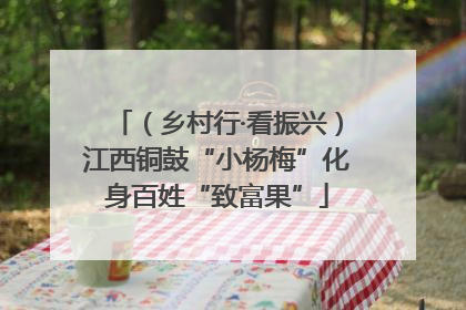 （乡村行·看振兴）江西铜鼓“小杨梅”化身百姓“致富果”