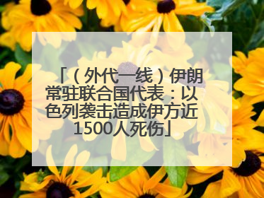 （外代一线）伊朗常驻联合国代表：以色列袭击造成伊方近1500人死伤