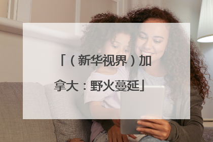 （新华视界）加拿大：野火蔓延