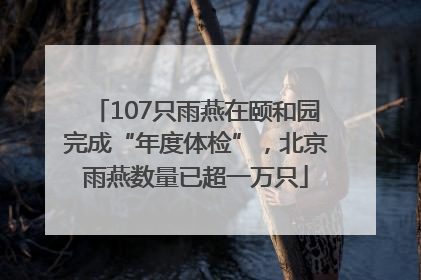 107只雨燕在颐和园完成“年度体检”，北京雨燕数量已超一万只