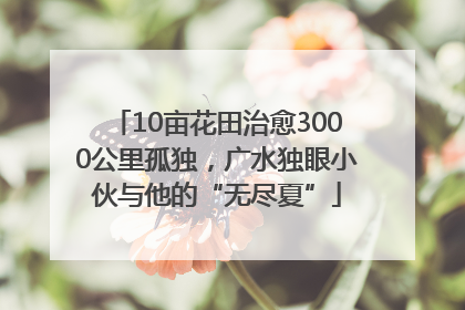 10亩花田治愈3000公里孤独，广水独眼小伙与他的“无尽夏”