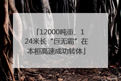 12000吨重、124米长“巨无霸”在本桓高速成功转体