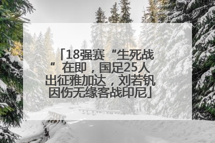 18强赛“生死战”在即，国足25人出征雅加达，刘若钒因伤无缘客战印尼