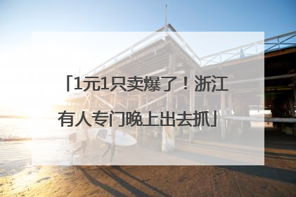 1元1只卖爆了！浙江有人专门晚上出去抓
