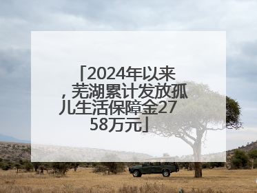 2024年以来，芜湖累计发放孤儿生活保障金2758万元
