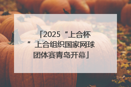 2025“上合杯”上合组织国家网球团体赛青岛开幕