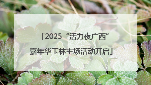 2025“活力夜广西”嘉年华玉林主场活动开启