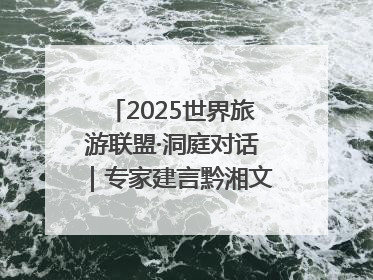 2025世界旅游联盟·洞庭对话｜专家建言黔湘文旅协同发展：聚焦产品稀缺性 深化区域经验共享
