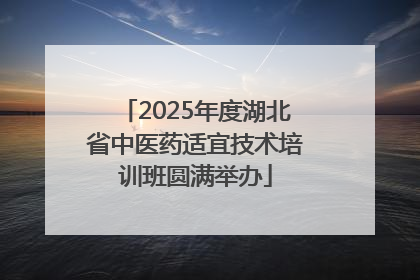 2025年度湖北省中医药适宜技术培训班圆满举办