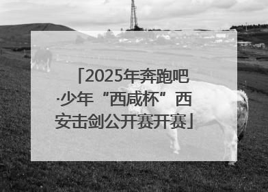 2025年奔跑吧·少年“西咸杯”西安击剑公开赛开赛