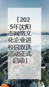 2025年沈阳市网络文化企业进校园双选活动正式启动