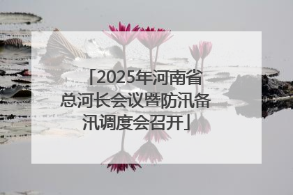 2025年河南省总河长会议暨防汛备汛调度会召开