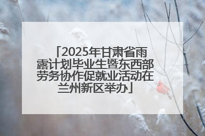 2025年甘肃省雨露计划毕业生暨东西部劳务协作促就业活动在兰州新区举办